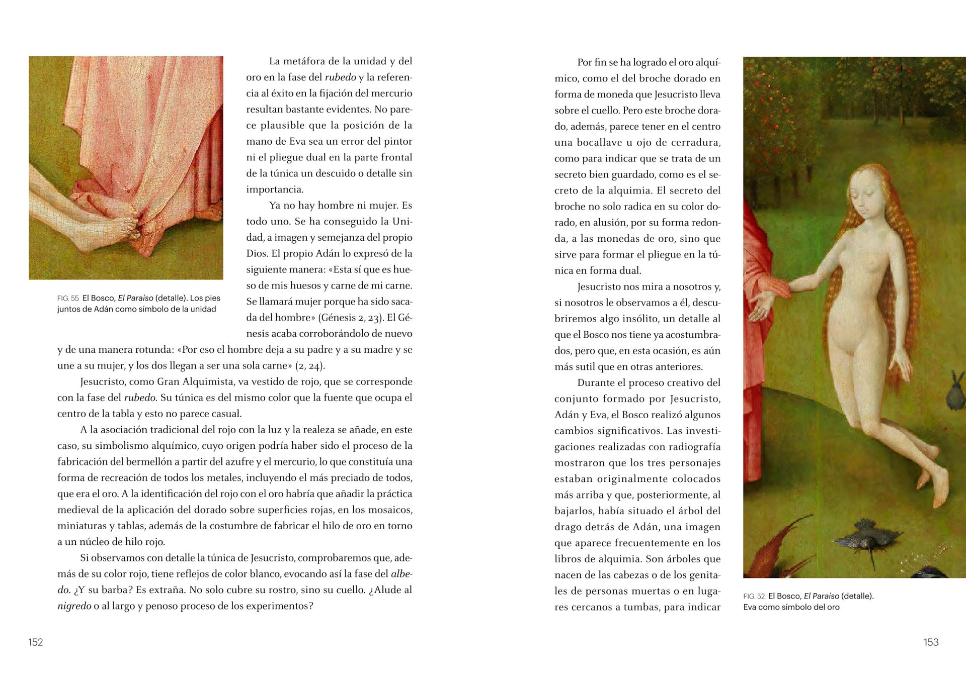 Interior libro el bosco el jardin alquimico de las delicias