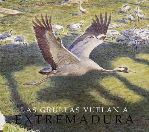 Las grullas vuelan a Extremadura