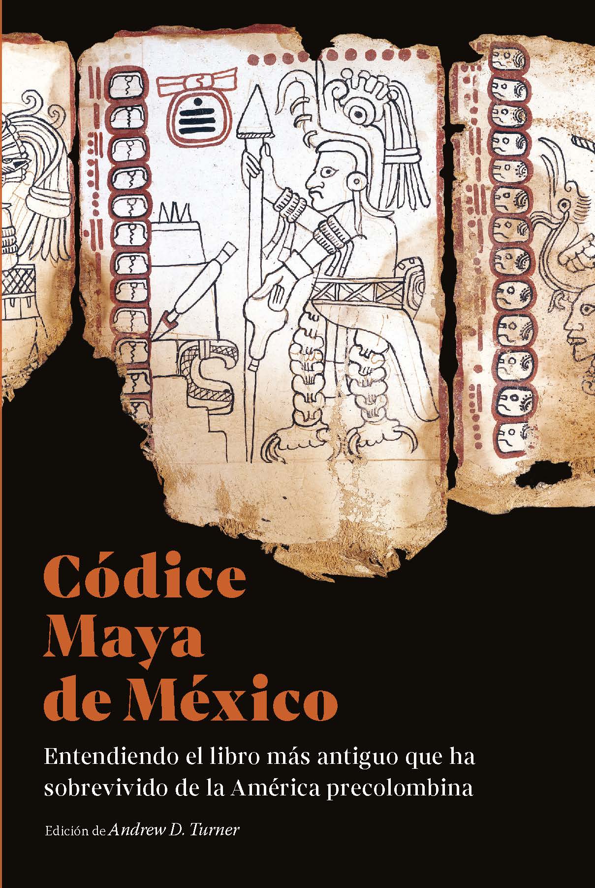 Códice Maya de México